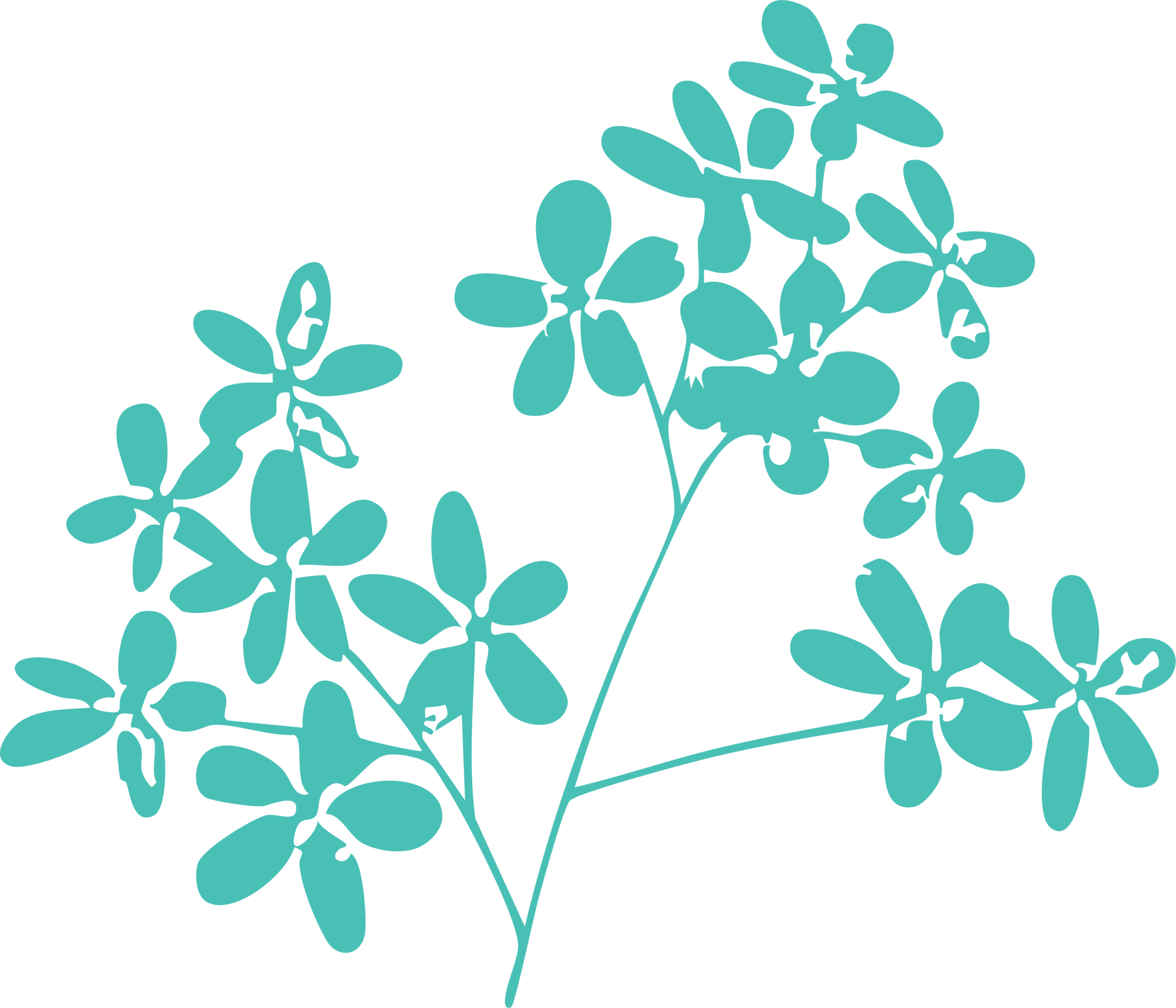 Illustration Vergiss-Mein-Nicht