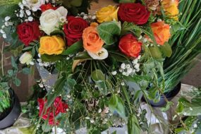 {{brizy_dc_image_alt imageSrc=